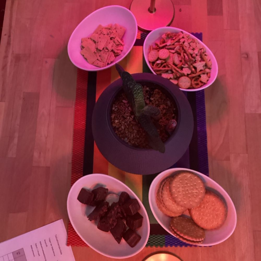 Foto: CSD Cottbus e.V.