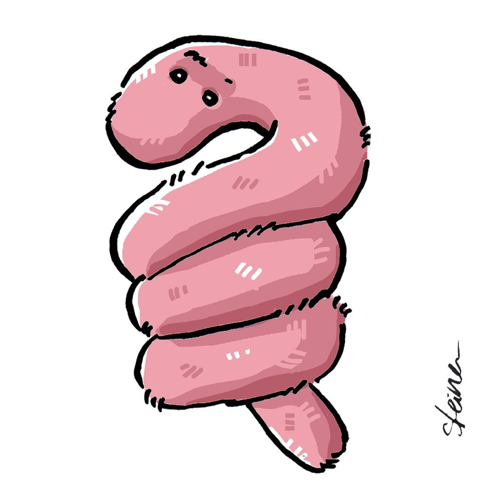 Illustration: Elke R. Steiner - steinercomix.de