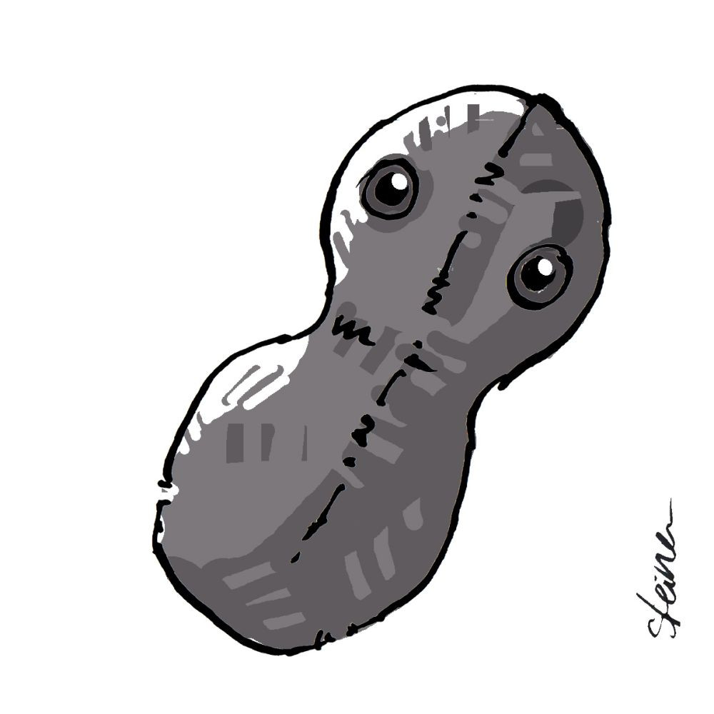 Illustration: Elke R. Steiner - steinercomix.de