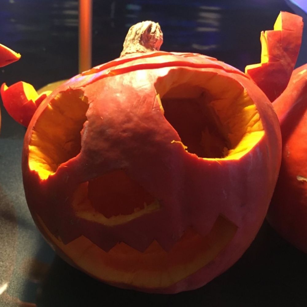 Foto: CSD Cottbus e.V.