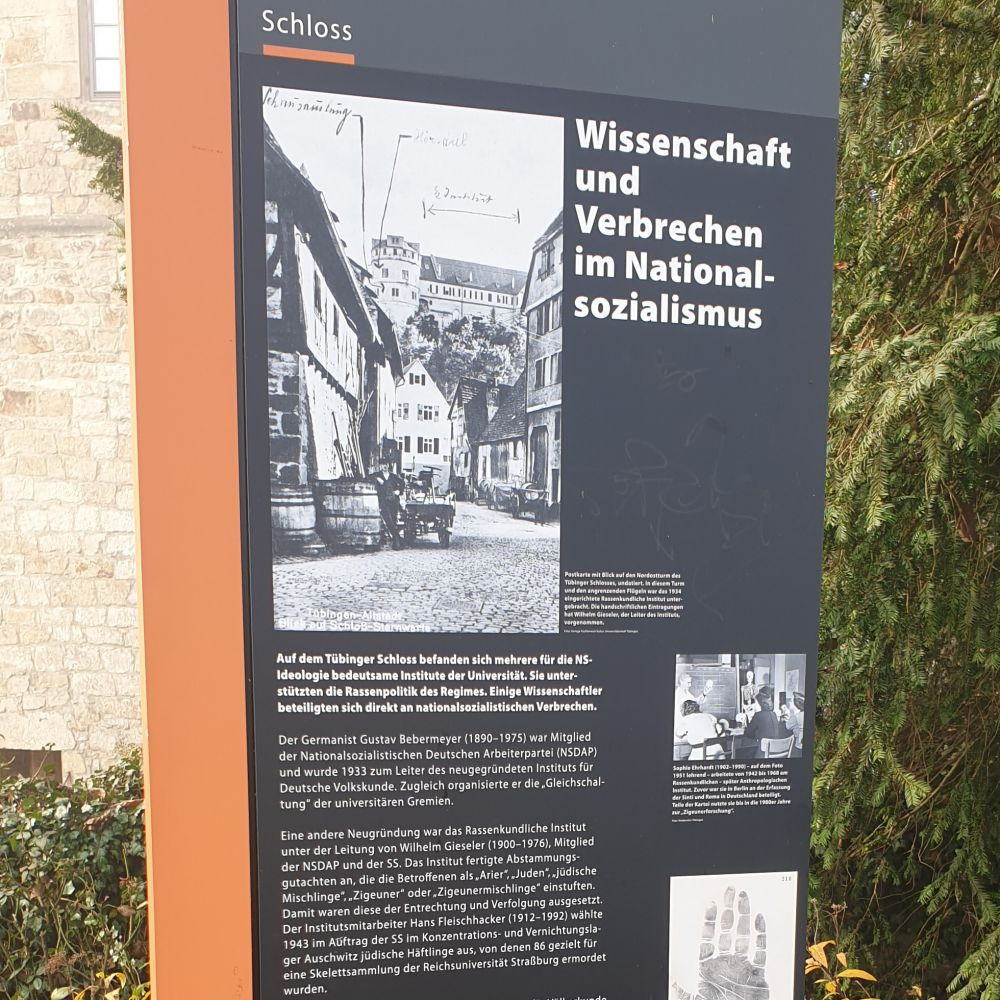 Foto: Regenbogenkombinat Cottbus