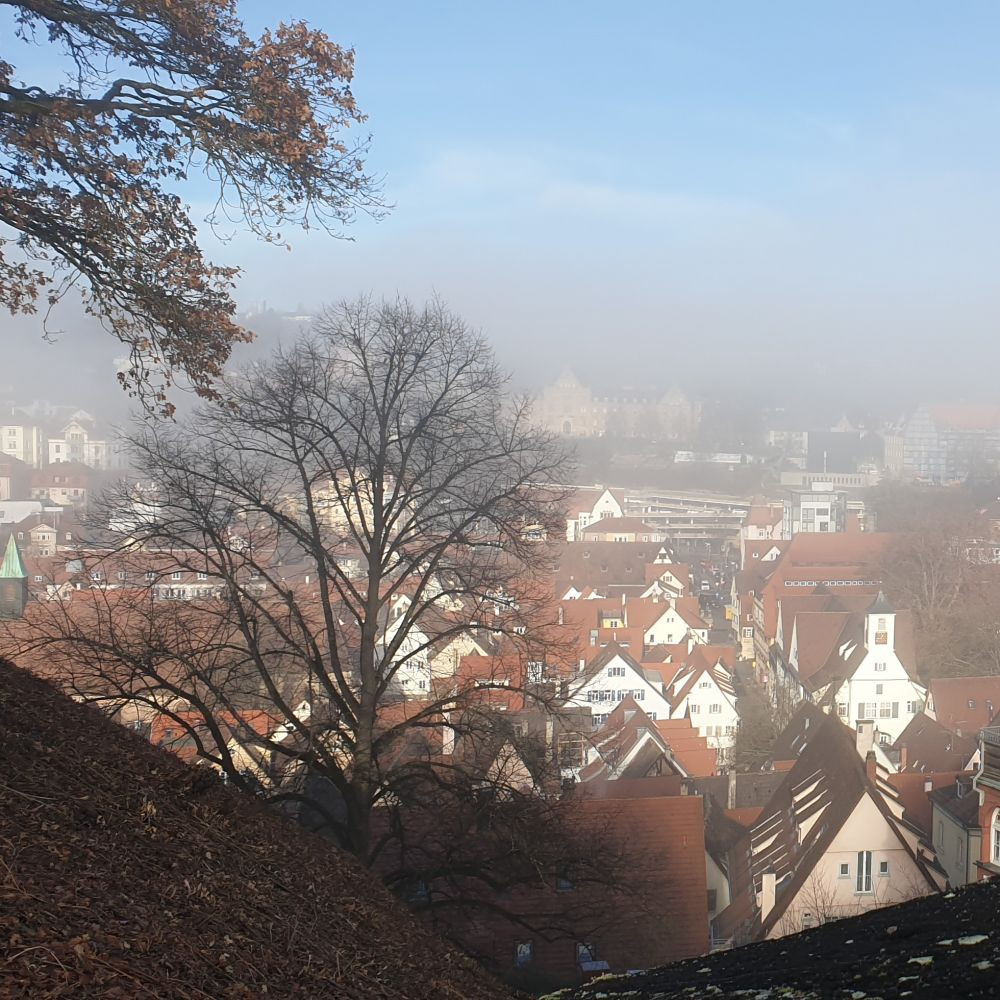 Foto: Regenbogenkombinat Cottbus