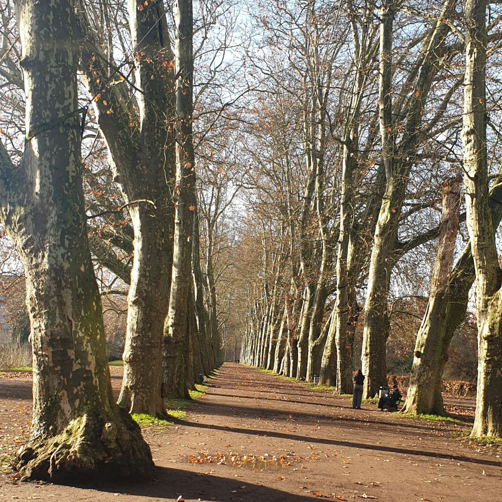 Foto: Regenbogenkombinat Cottbus