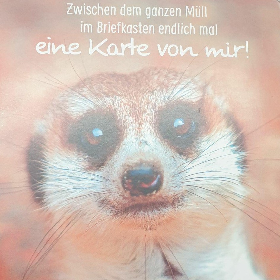 Foto: CSD Cottbus e.V.