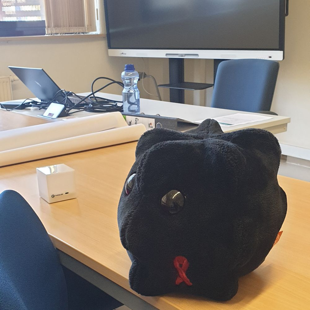 Foto: Regenbogenkombinat Cottbus