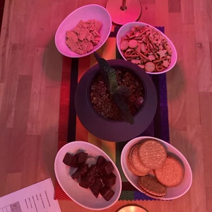 Foto: CSD Cottbus e.V.